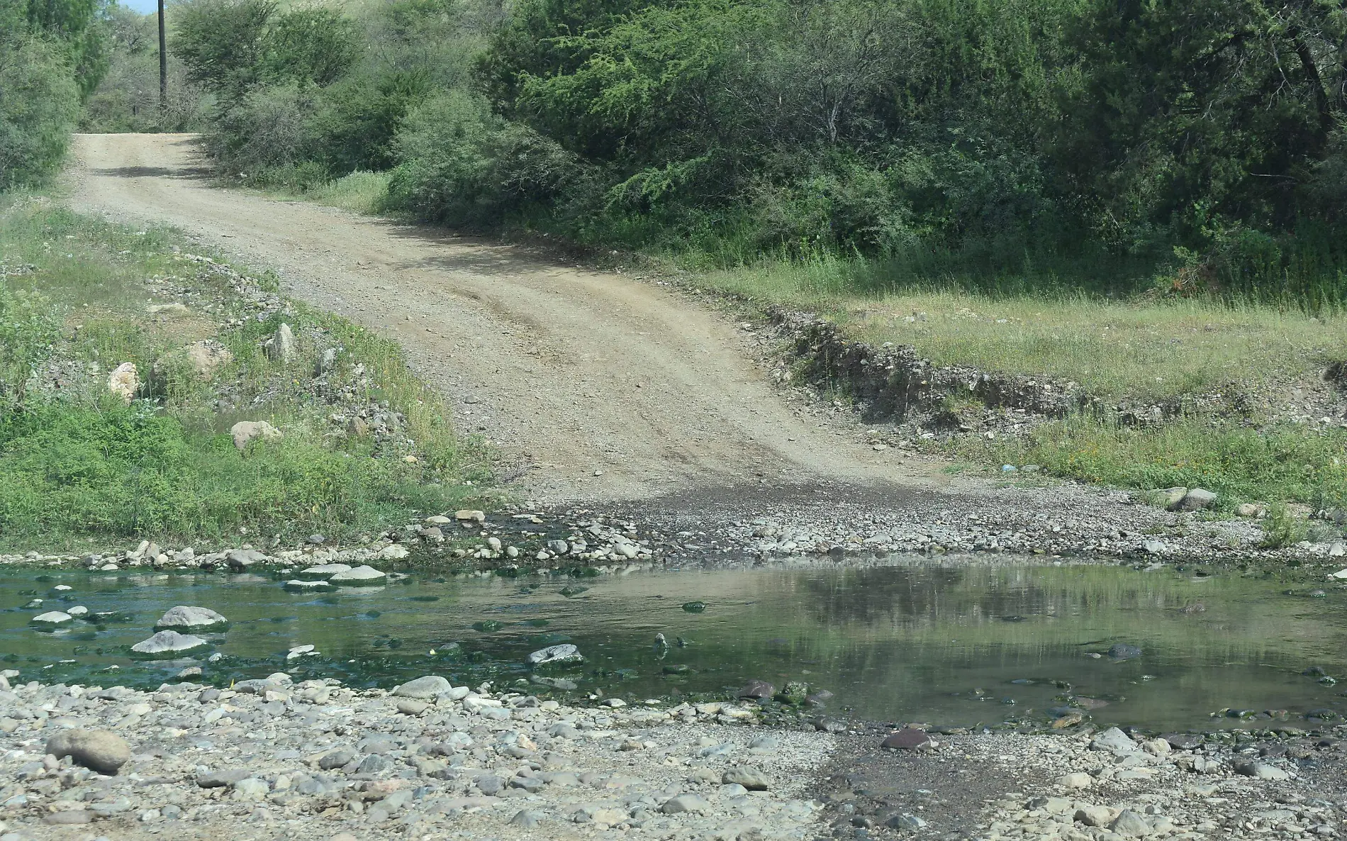 caminos 7 nota de javier